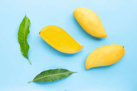 Tropical fruit, Mango  on blue background. Top viewの写真素材