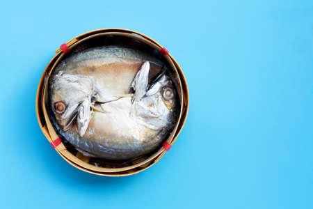 Short mackerel in fish basket on blue background. Top view with copy spaceの写真素材