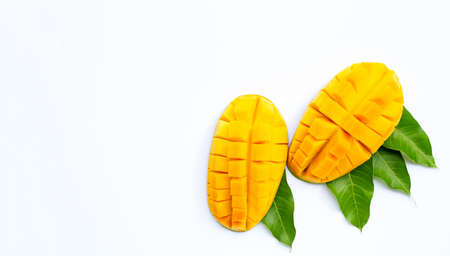 Tropical fruit, Mango  on white background. Top viewの写真素材