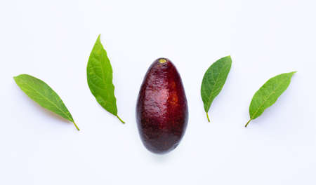 Avocado with leaves on a white background.の写真素材