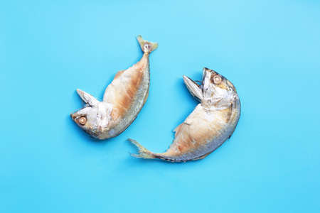 Short mackerel fish on blue background. Top viewの写真素材