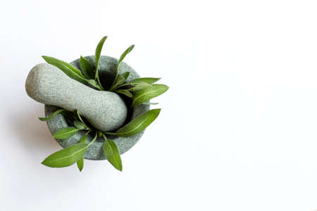 Sage leaves in stone mortar and pestle on white background. Top viewの写真素材