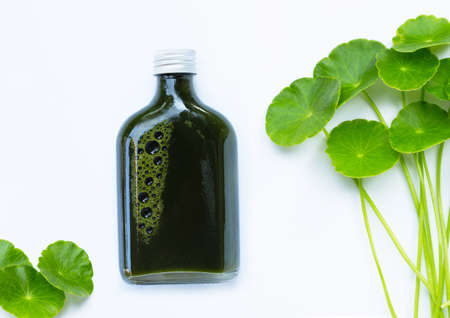 Herbal juice bottle, Fresh green centella asiatica leaves or water pennywort plant or gotu kola. Healthy drinks conceptの写真素材