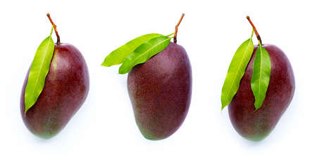 Mango, Tropical fruit with leaves on white background. Top viewの写真素材