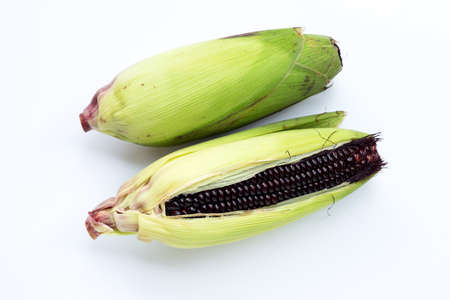 Black corn on a white backgroundの写真素材