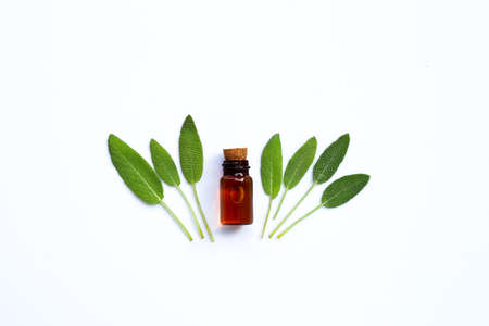 Essential oil with fresh sage leaves on white background. Top viewの写真素材