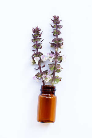 Empty essential oil bottle with sweet basil flower on white background.の写真素材