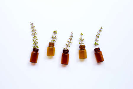Empty essential oil bottles with holy basil flower on white background.の写真素材
