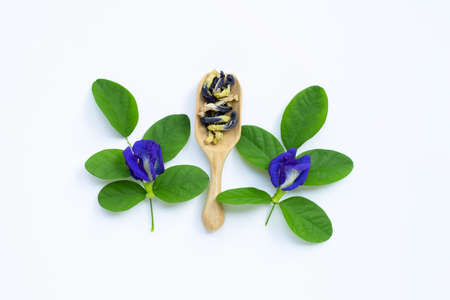 Dry Butterfly pea flower with green leaves on white background. 