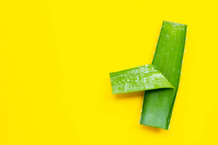 Aloe vera is a popular medicinal plant for health and beauty. Top viewの写真素材