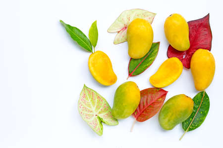 Tropical fruit, Mango with colorful leaves on white background. Top viewの写真素材