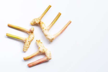 Fresh galangal isolated on white background.の写真素材