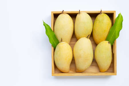 Tropical fruit, Mango in wooden box on white background. Top viewの写真素材