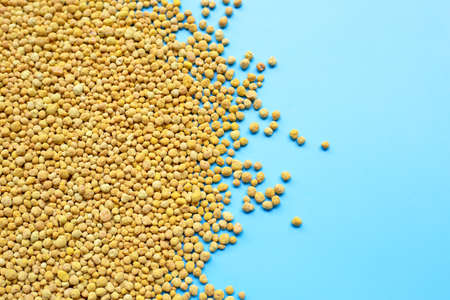 Chemical plant fertilizer on blue background. Copy spaceの写真素材