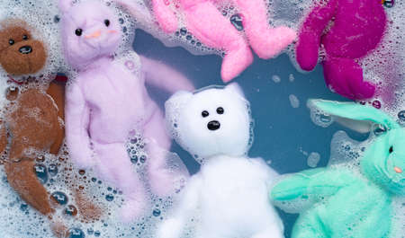 Soak rabbit doll with  toy teddy bear in laundry detergent water dissolution before washing.  Laundry concept, Top viewの写真素材