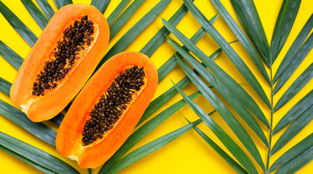 Sweet ripe papaya on tropical palm leaves. Top viewの写真素材