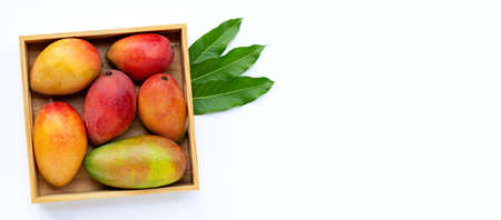 Tropical fruit, Mango in wooden box on white background. Copy spaceの写真素材