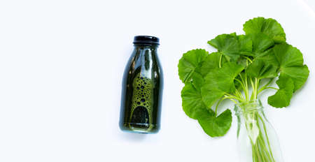 Gotu kola leafs juice drink for health on white backgroundの写真素材