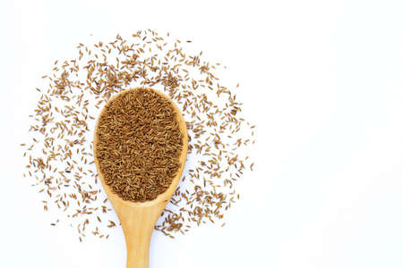 Cumin or caraway seeds on white background.の写真素材