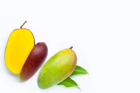 Tropical fruit, Mango  on white background. Top viewの写真素材