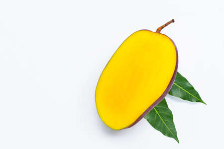 Tropical fruit, Mango  on white background. Top viewの写真素材