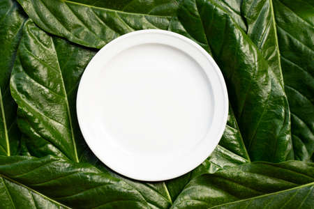 Empty white ceramic plate on Noni or Morinda Citrifolia leaves background.の写真素材