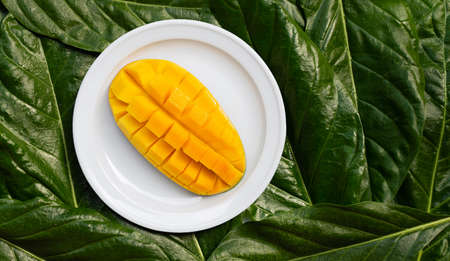 Mango on white ceramic plate on leaves background. Top viewの写真素材