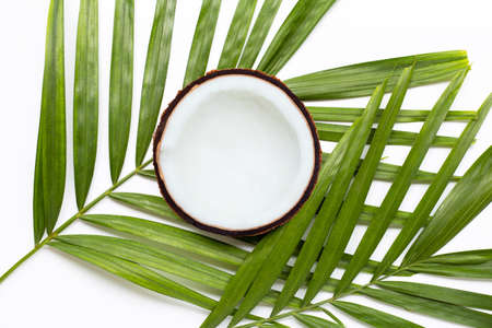 Half coconut on tropical palm leaves on white background. Top viewの写真素材