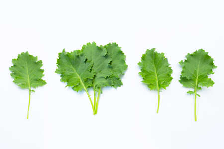 Kale leaves on white background. Top viewの写真素材