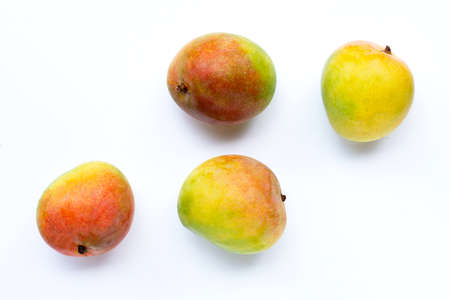 Tropical fruit, Mango  on white background. Top viewの写真素材