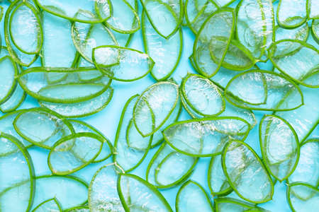 Aloe vera is a popular medicinal plant for health and beauty. Top viewの写真素材