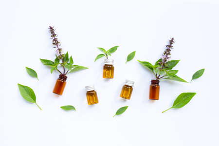 Essential oil bottles with fresh sweet basil leaves and flower on white background.の写真素材