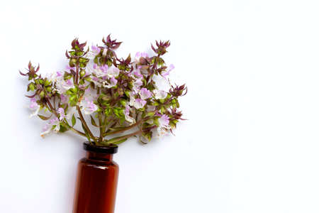 Essential oil bottle with sweet basil flower on white background.の写真素材