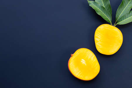Tropical fruit, Mango  on dark background.の写真素材