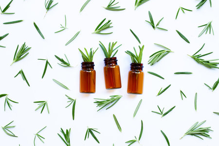 Fresh rosemary isolated on white background.の写真素材