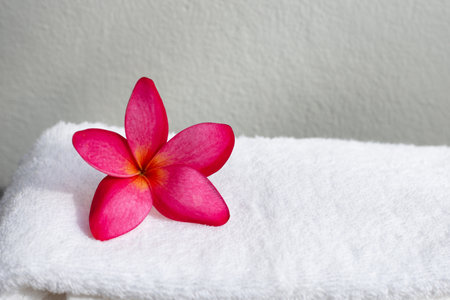 Red plumeria on white towel. Spa treatment conceptの写真素材