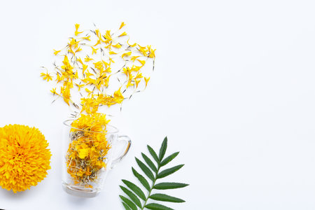 A glass cup with marigold flower petals on white background. Flower herbal tea concept.の写真素材