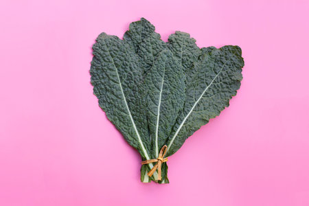 Fresh organic green kale leaves on pink background.の写真素材