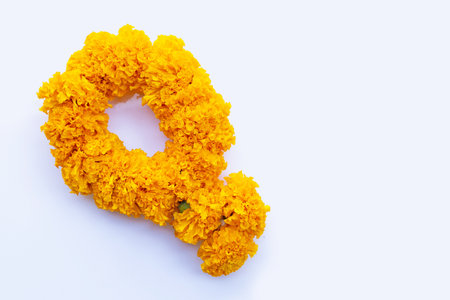 Marigold garland isolated on black backgroundの写真素材