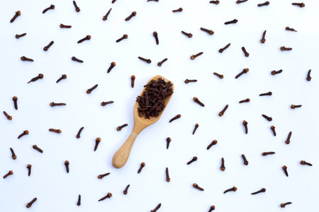 Spice dried cloves on whiteの写真素材