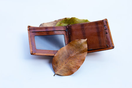 Wallet with dry leaves on white