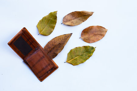 Wallet with dry leaves on white