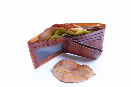 Wallet with dry leaves on whiteの写真素材