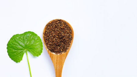 Fresh leaf gotu kola with seeds on whiteの写真素材