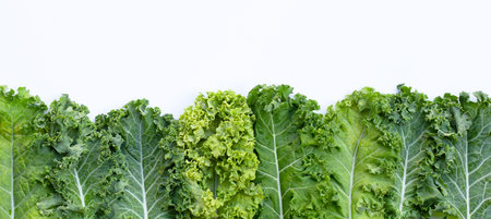 Fresh kale leaves salad vegetable on white