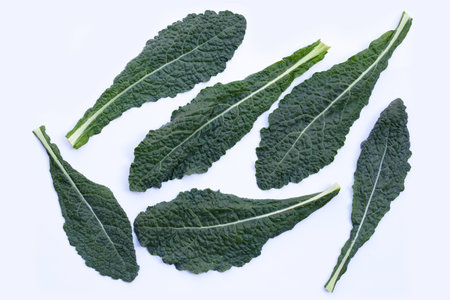 Fresh organic green kale leaves on whiteの写真素材