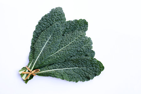Fresh organic green kale leaves on whiteの写真素材