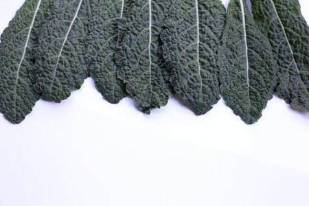 Fresh organic green kale leaves on whiteの写真素材