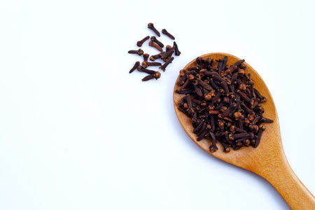 Spice dried cloves on whiteの写真素材