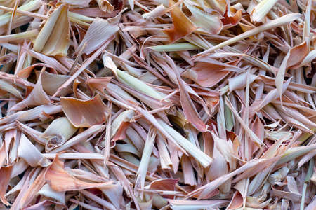 Organic dried lemongrass. Close upの写真素材